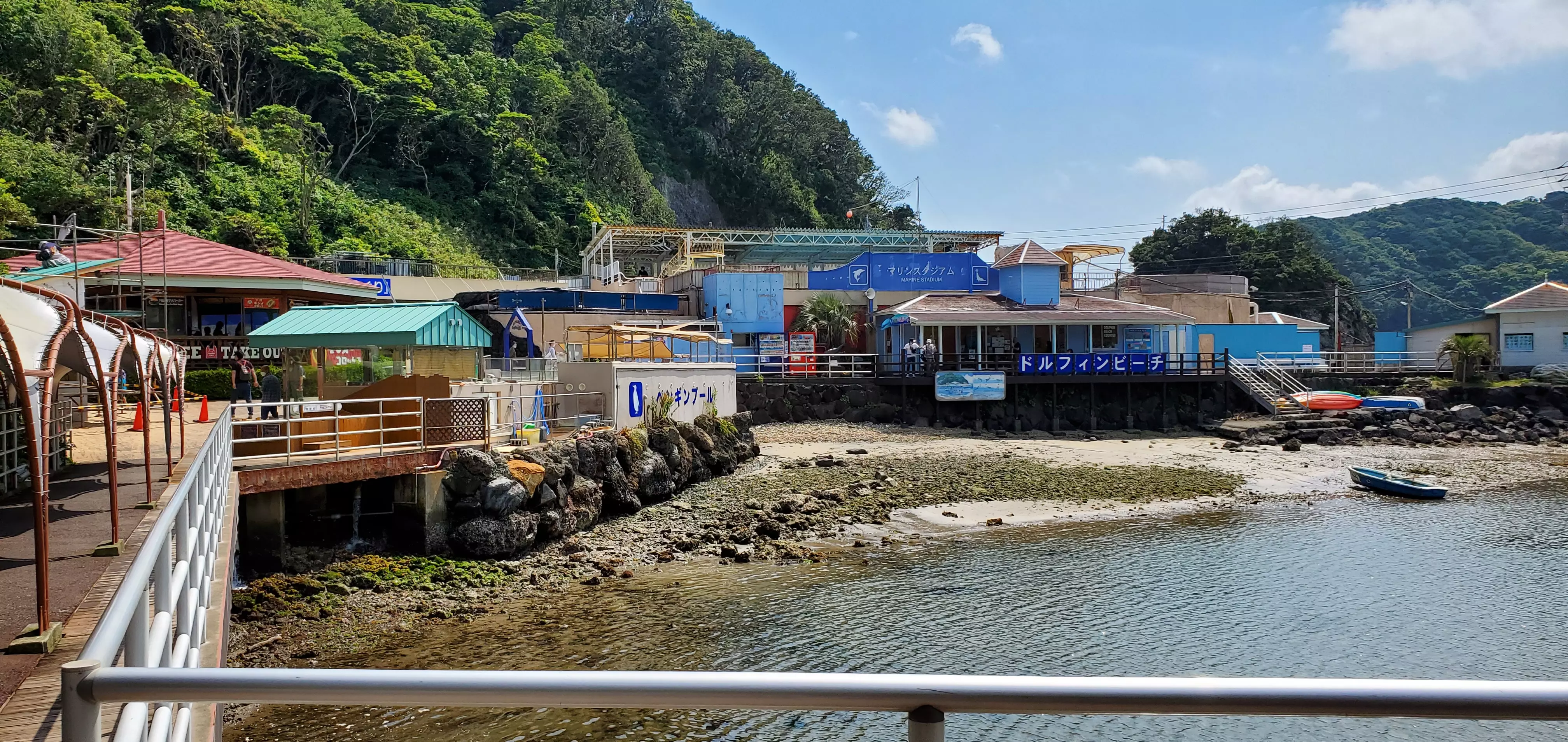 下田海中水族館内の様子１
